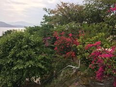 -南诏风情岛