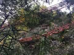 -藏龙百瀑风景区