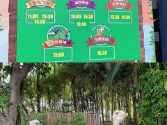 -广州长隆飞鸟乐园