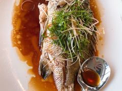 -海湾壹品·粤菜·早茶·烤鸭(拱北店)