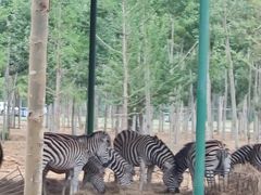 -秦皇岛野生动物园