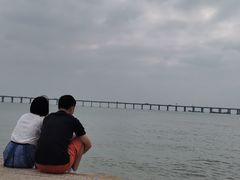 -宝安西湾红树林湿地公园