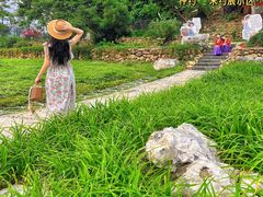 -广西壮族自治区药用植物园