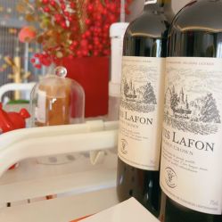 -哈颜科技轻美·