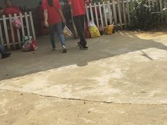-老虎沟生态农场