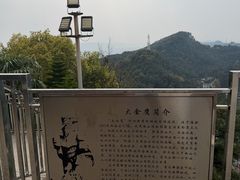 -大金鹰园