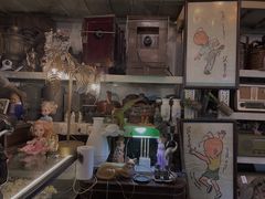 -苏州艺都古玩花鸟市场
