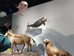 -中国湿地博物馆