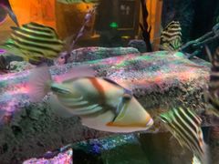 -沈阳海洋探索中心