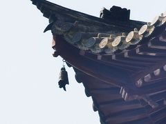 -龙华寺