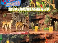 -长鹿旅游休博园