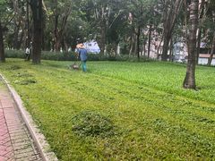 -深圳龙潭公园