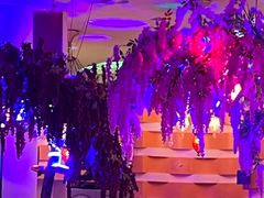 -巴特餐饮6加1音乐餐吧·新疆菜