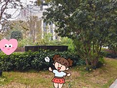 -成都市川剧院·《川剧秀·传奇变脸》·锦江剧场