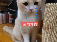 -苏宁易购(上海沪太路二店)