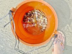 -红树林天天赶海