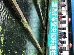 -青龙潭鱼庄