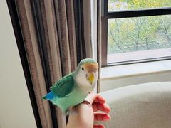 -红豆杉庄会议中心