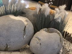 -上海月星家居(澳门路店)