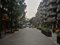 -泡桐树街
