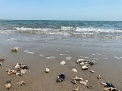 -北戴河东海水浴场