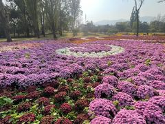 -国家植物园南园