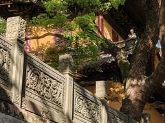 -普陀山风景名胜区-法雨禅寺