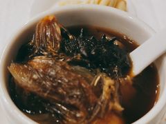 -聚春园自助餐厅(东街口店)