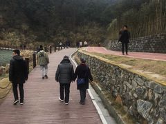 -梅岭月亮湾山体公园