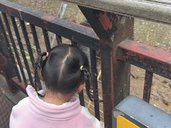 -南昌动物园