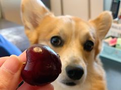 -上海龙吴水胜海发市场