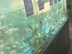 -丹江渔村(首都机场店)