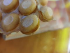 -天美汇鸡翅包饭(来福士广场店)