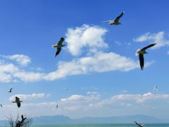 -捞渔河湿地公园