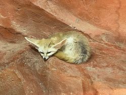 -Zoolung Zoolung动物主题公园(海信广场店)