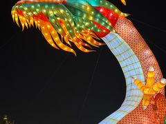 -中国翰园碑林