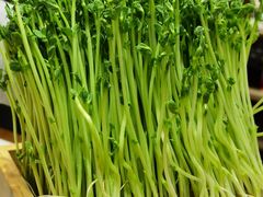 -东门口·新式老北京火锅(河西龙湖天街店)