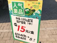 -百果园PAGODA(沿海赛洛城店)