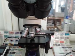 -小叮当动物医院·骨科·眼科