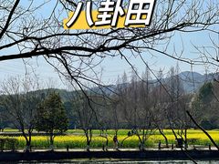 -八卦田遗址公园