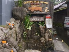门面-Warung Babi Guling Ibu Oka 3