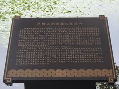 -荔湾湖公园