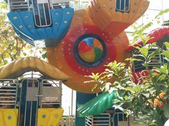 -南宫五洲植物乐园