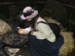 -上海鲜花港