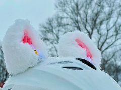 -东北亚滑雪场