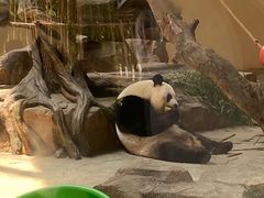 -宁波野生动物园