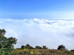 -白草畔自然风景区
