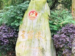 -邓小平故里