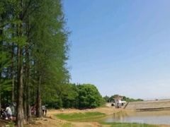 -青龙山国家森林公园