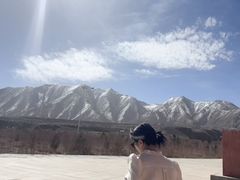 -无极龙凤宫